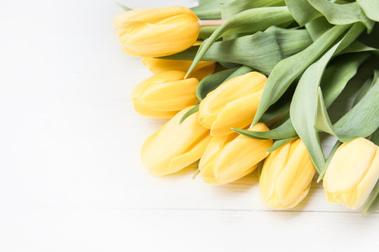 Yellow Tulips On White Wood Background. Spring - Poster With Free Text Space.