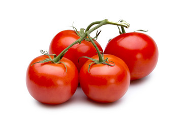 Tomatoes on white
