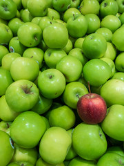 Red apple among green apples
