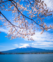 Mt.Fuji and blue sky at Kawaguchi-lake ,Japan