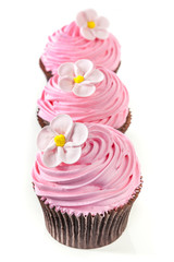 Fancy Cupcakes Isolated on White