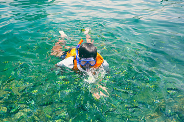 Man snorkeling underwater looks reef fish over a lush seabed with colorful marine life composed by corals and sponges in the Caribbean sea
