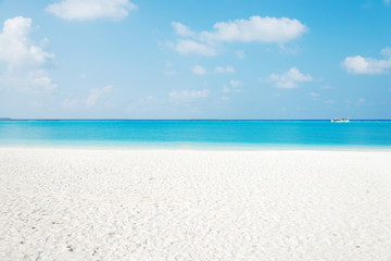 Fototapeta na wymiar beautiful tranquil beach in blue sunny sky