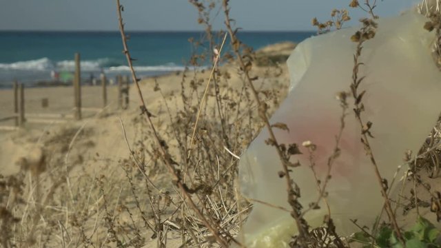 Plastic bag caught on a plant on the beach, close up shot, a plastic bag is a threat to the environment.