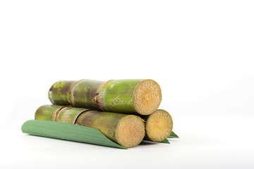 Close up of sugar cane in isolated white background