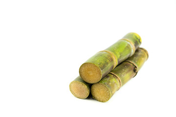 Close up of sugar cane in isolated white background