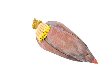Banana blossom isolated on white background with clipping path