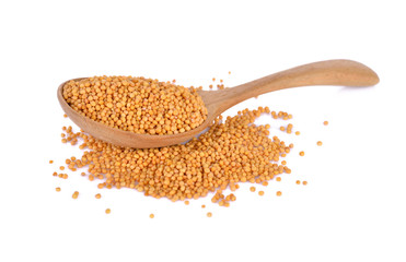 dried mustard seeds on wooden spoon and on white background