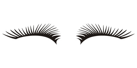 black eyelashes icon on a white background
