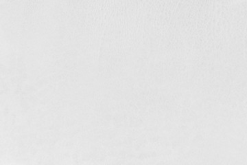 White leather background