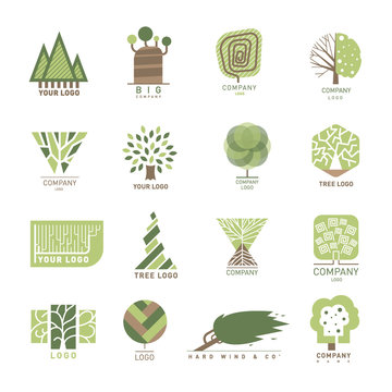 Vector tree wood oak design element badge modern forest label and templates nature label for your business eco graphic plant illustration.