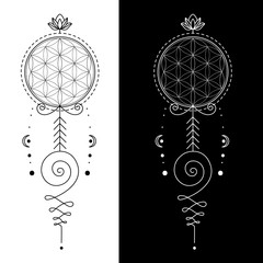 The Unalome is originally a hindu symbol that graphically recalls Shiva&acute;s third eye and it represents wisdom and the path to perfection.