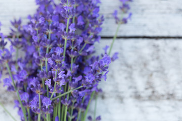 lavender on a wooden background. Medicinal plant in bloom.