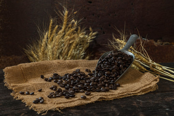 roasted coffee bean purifying from spoon