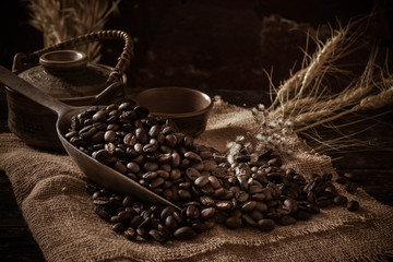 roasted coffee bean purifying from spoon
