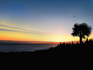 Image landscape. Sunset on exotic island.  A flock of birds on the background of colorful sky.