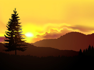 North american landscape. Silhouette of coniferous trees on the background of mountains and golden sky. Sunset.