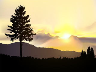 Fototapeta na wymiar North american landscape. Silhouette of coniferous trees on the background of mountains and colorful sky. Sunset.