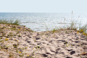 Summer morning by Baltic sea.