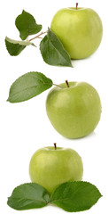 Green Apple