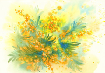 Mimosa flower watercolor