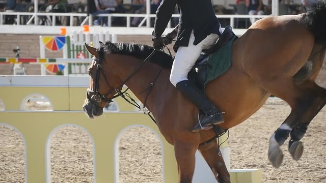 Unrecognizable professional male jockey rides on horseback. Horse is galloping and jumping through a barrier in competition. Slow motion Close up