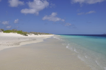 Fototapeta na wymiar Beach Klein Bonaire