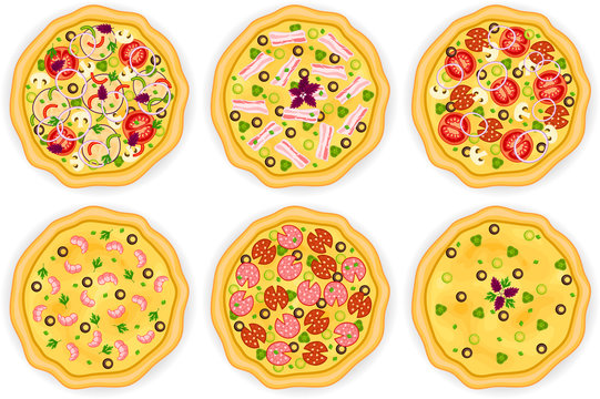 Set with different kinds of pizzas: vegetarian, bacon, mixed, prawn, salami and cheese pizza. Vector illustration