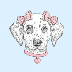 Cute dog wearing a collar with a heart and two bows. Beautiful dalmatian painted by hand. Vector illustration for a card or poster, print on clothes. Pedigreed Puppy.