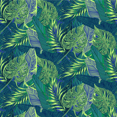 tropical plants