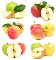 Apples on white background