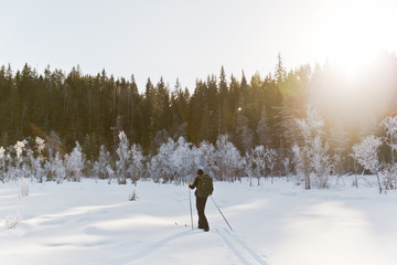 Skier tourist with a backpack on a frozen lake in the woods around the sun