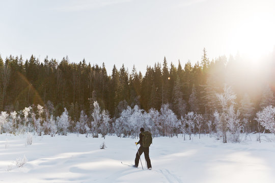 Skier tourist with a backpack on a frozen lake in the woods around the sun