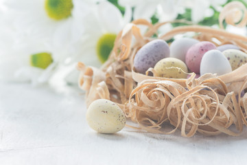 Coloured eggs in nest made from wood shavings close up, selective focus. Toned photo