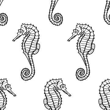 seamless pattern from seahorse silhouette. Vector hippocampus