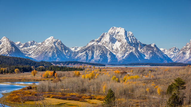 Golden autumn forest. Beautiful snow-capped mountains. Grand Teton National Park, Wyoming, USA