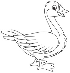 Goose