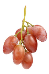 Juicy Grapes on white background