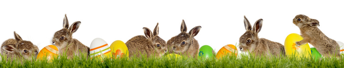 Frohe Ostern