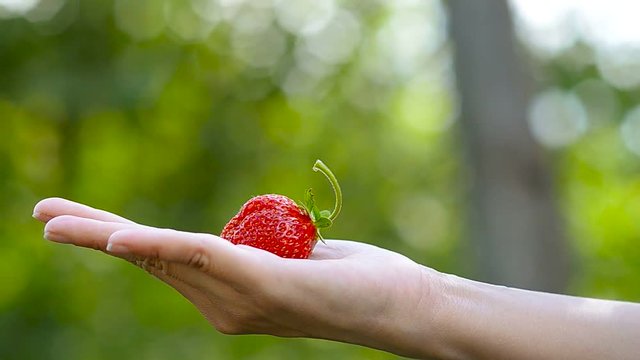 red strawberry lies on a female palm on a green background, vitamin diet