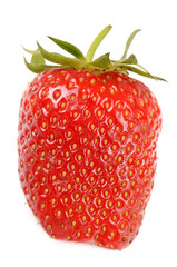 strawberries on a white background