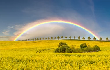 Fotobehang Oranje regenboog over het gecultiveerde veld  © Mike Mareen