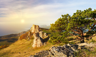 Summer landscape of the southern Crimea RUSSIA.