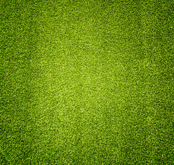  grass - 138059441