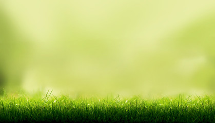 Plakat Blades of Green Grass with a blurred green garden foliage background.