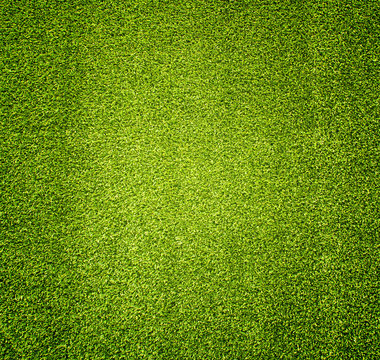  grass