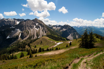 Fototapeta na wymiar Bergwiese mit zwei Tannen und Ausblick auf das Gebirge
