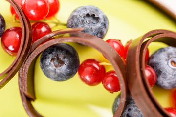 Cranberry And Blueberry Fruit Chocolate Cake