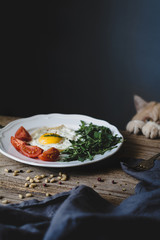 Little cat sneaking on breakfast plate with fried sunny side up egg, fresh green salad and tomatoes. Rustic composition