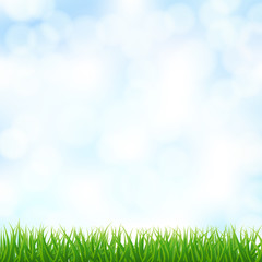 Fototapeta na wymiar blurry sky background with green grass. vector